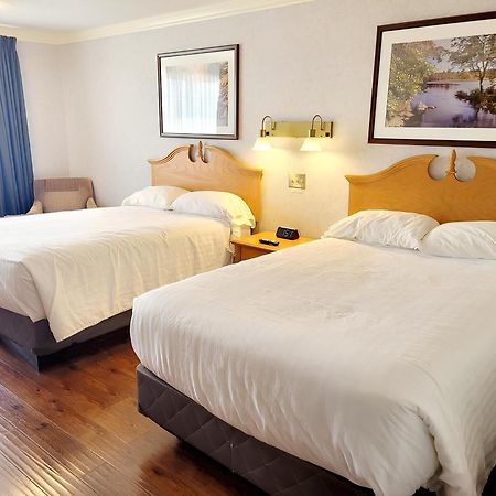 אנטיגוניש Claymore Inn And Suites מראה חיצוני תמונה